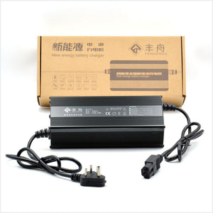 12v20a lithium charger