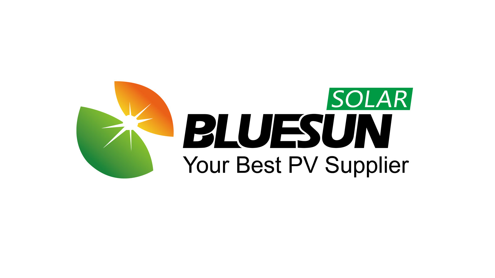 BLUESUN ENJIE 24V 1500W 230V Inverter, Mobile connectivity for car and –  Bluesun Solar DE